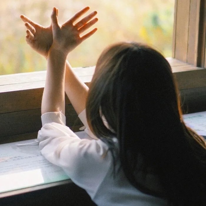 笨蛋·测验·召唤兽：祭